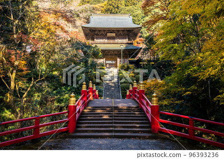 Sanmon gate of Unganji Temple (Autumn) Sanmon gate of Unganji Temple (Autumn) 96393236