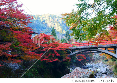 有美麗的秋葉的河 96394219