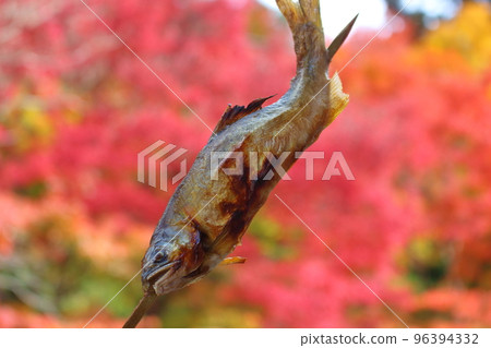 鹽烤香魚秋葉 鹽烤香魚秋葉 96394332