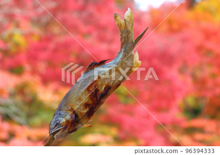 鹽烤香魚秋葉 鹽烤香魚秋葉 96394333