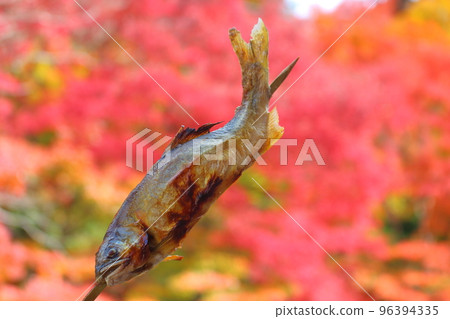鹽烤香魚秋葉 鹽烤香魚秋葉 96394335
