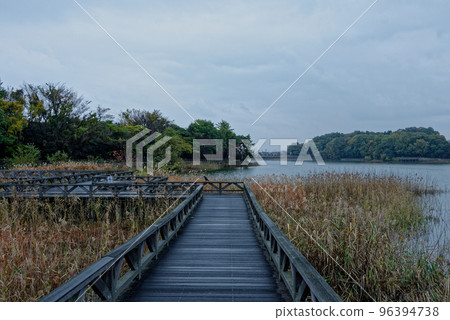 rain in the pond rain in the pond 96394738