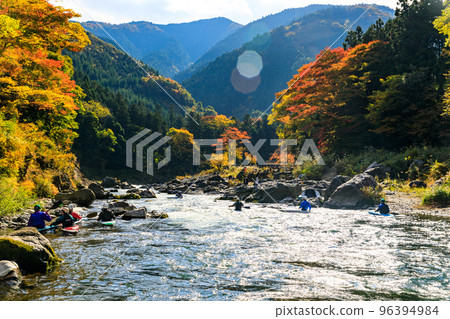 Autumn leaves in Mitake Valley, Ome City, Tokyo Autumn leaves in Mitake Valley, Ome City, Tokyo 96394984