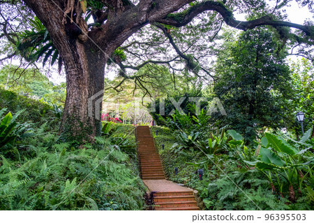Walkway in Fort Canning Park, one of public green spaces in Singapore. Walkway in Fort Canning Park, one of public green spaces in Singapore. 96395503