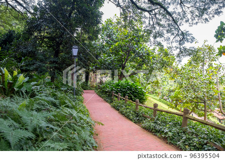 Walkway in Fort Canning Park, one of public green spaces in Singapore. 96395504