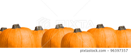 Banner with pumpkin decorative border isolated on white background. Halloween party, autumn season, harvest concept. Copy space 96397357