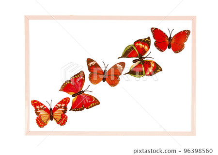 Fake butterflies decoration Fake butterflies decoration 96398560