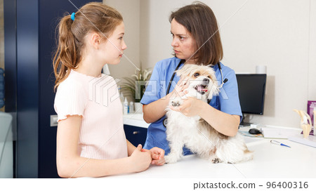 Upset girl with dog consulting by veterinarian Upset girl with dog consulting by veterinarian 96400316