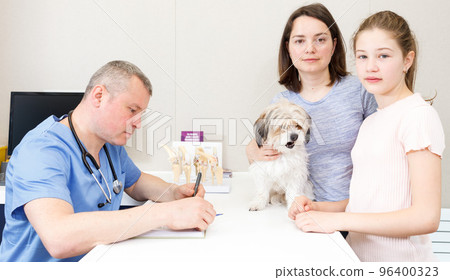Concerned family with dog consulting by veterinarian Concerned family with dog consulting by veterinarian 96400323