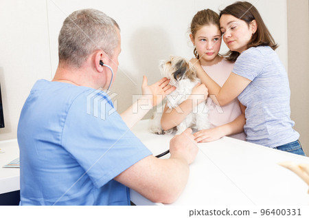 Concerned family with dog consulting by veterinarian 96400331