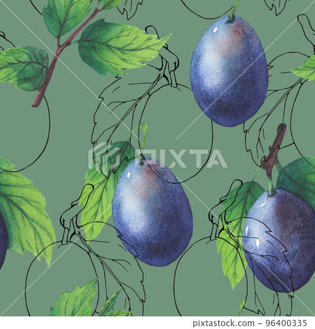 Pattern of watercolor plum tree branches with green leaves and fruits. 96400335