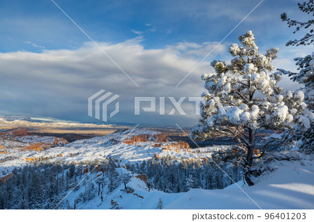 Winter Bryce 96401203