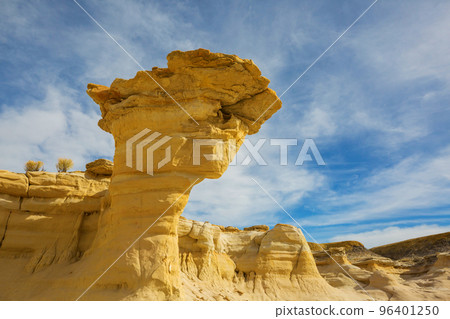 Bisti Bisti 96401250