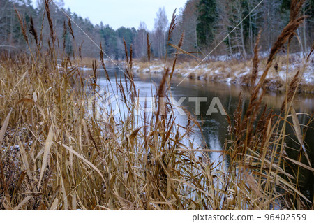 The river Salaca is meandered by high sandstone cliffs. Skanaiskalns nature park. November is the first snow in Mazsalaca in Latvia. The river Salaca is meandered by high sandstone cliffs. Skanaiskalns nature park. November is the first snow in Mazsalaca in Latvia. 96402559