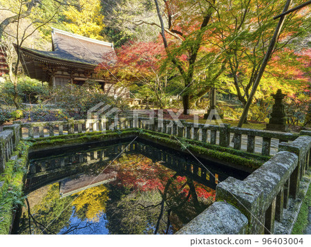 秋天的室生寺,秋葉倒映在池塘中 秋天的室生寺,秋葉倒映在池塘中 96403004
