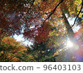 Illuminated Autumn Leaves 2 ~Thunder Mountain~ 96403103