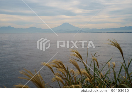 蒲葦、大海和藍色的富士山 96403610