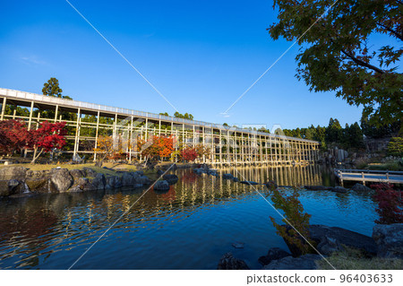 陽光下閃耀的京阪奈紀念公園“水溪園”觀月橋 陽光下閃耀的京阪奈紀念公園“水溪園”觀月橋 96403633