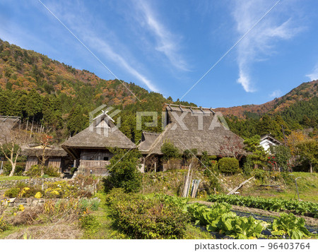 Scenery of Miyama Kayabuki no Sato in sunny autumn 96403764