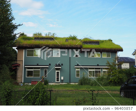 grass shop grass shop 96403857