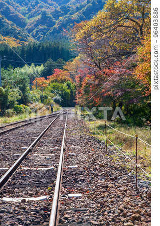 View from Sawairi Station Watarase Keikoku Railway Autumn scenery 96403886