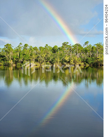 Rainbow and clouds over Pine Glades Lake in Everglades National Park. 96404204