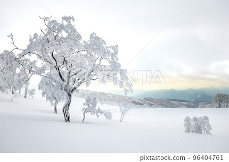 從若狹冰之山滑雪纜車的頂部瞄準山頂！ （同鳥取縣八津郡若狹町） 96404761