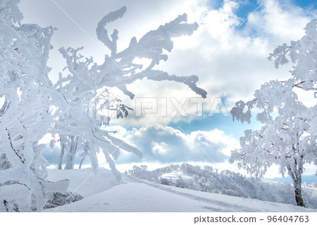 Aim for the summit from the top of the Wakasa Hyonoyama ski lift! (Same, Wakasa-cho, Yazu-gun, Tottori Prefecture) 96404763
