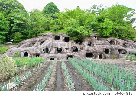 Utsunomiya Nagaoka Hyakuana Kofun Utsunomiya Nagaoka Hyakuana Kofun 96404813