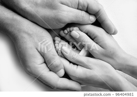 Legs, toes, feet and heels of a newborn. With the hands of parents, father, mother gently holds the child's legs. Macro photography, close-up. Black and white photo. High quality photo 96404981