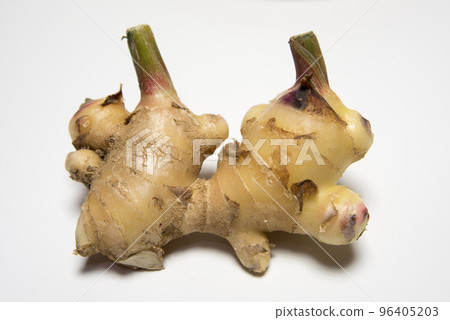 Ginger root harvested in autumn 96405203