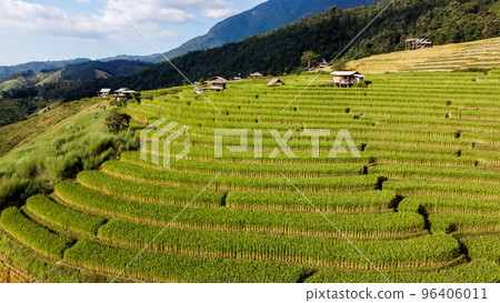 Aerial view of Rice terrace at Ban pa bong piang in Chiang mai Thailand 96406011