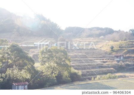 冬天的稻淵，空曠的田野 96406304