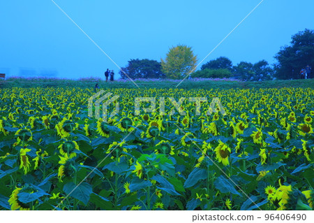 漣川的 Horugoru 堡壘。九里湖公園 96406490