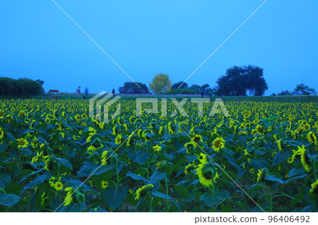 漣川的 Horugoru 堡壘。九里湖公園 96406492