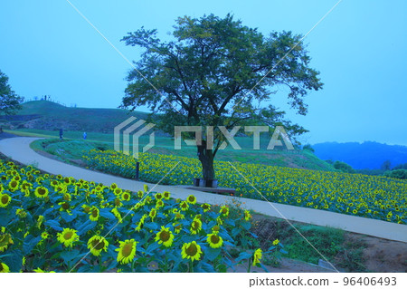 漣川的 Horugoru 堡壘。九里湖公園 96406493