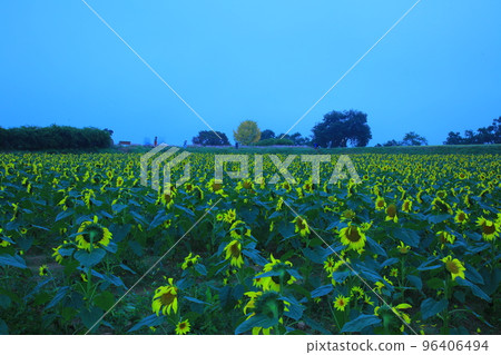 漣川的 Horugoru 堡壘。九里湖公園 96406494