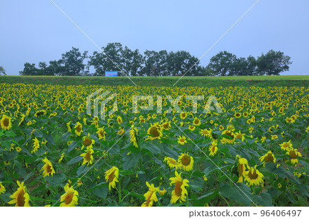 漣川的 Horugoru 堡壘。九里湖公園 漣川的 Horugoru 堡壘。九里湖公園 96406497