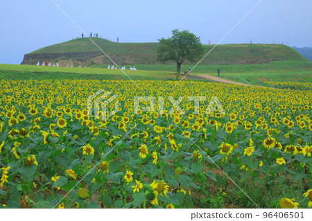 漣川的 Horugoru 堡壘。九里湖公園 96406501