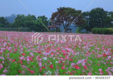 漣川的 Horugoru 堡壘。九里湖公園 96406507