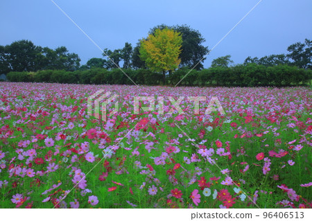 漣川的 Horugoru 堡壘。九里湖公園 96406513