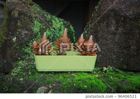 Horugoru Fortress in Yeoncheon. Guri Lake Park Horugoru Fortress in Yeoncheon. Guri Lake Park 96406521