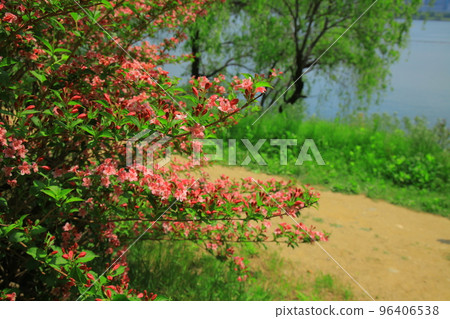 漣川的 Horugoru 堡壘。九里湖公園 漣川的 Horugoru 堡壘。九里湖公園 96406538