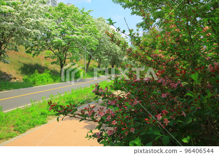 漣川的 Horugoru 堡壘。九里湖公園 96406544