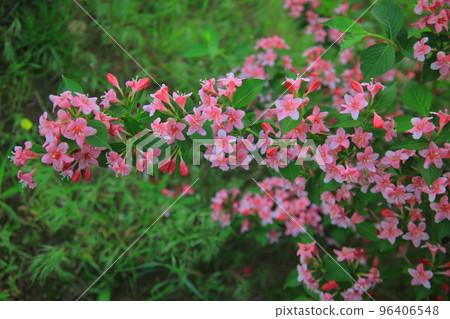 漣川的 Horugoru 堡壘。九里湖公園 96406548