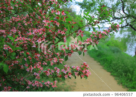 漣川的 Horugoru 堡壘。九里湖公園 96406557