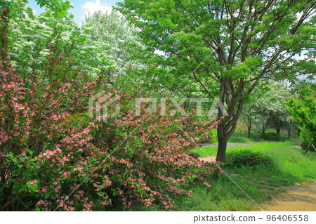 Horugoru Fortress in Yeoncheon. Guri Lake Park Horugoru Fortress in Yeoncheon. Guri Lake Park 96406558