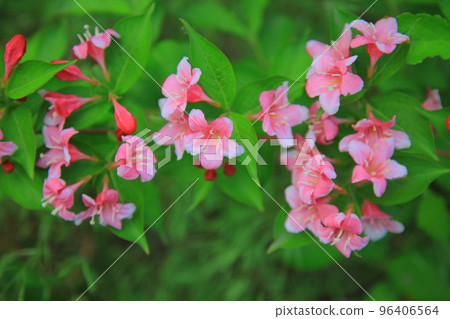 漣川的 Horugoru 堡壘。九里湖公園 96406564