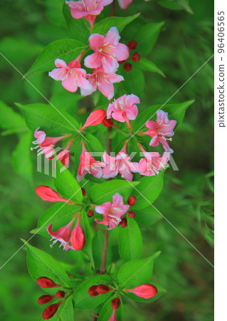 Horugoru Fortress in Yeoncheon. Guri Lake Park Horugoru Fortress in Yeoncheon. Guri Lake Park 96406565