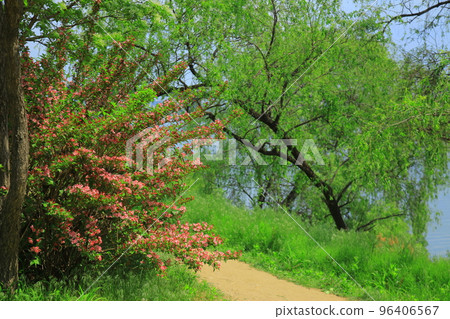 漣川的 Horugoru 堡壘。九里湖公園 96406567